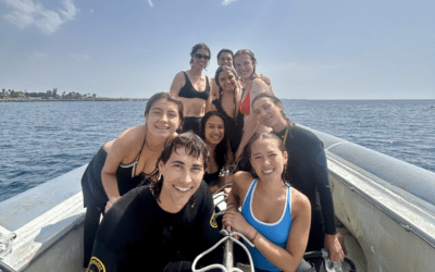 Explore Sicily’s Marine Ecosystems: Join Our Summer School in Marine Ecology